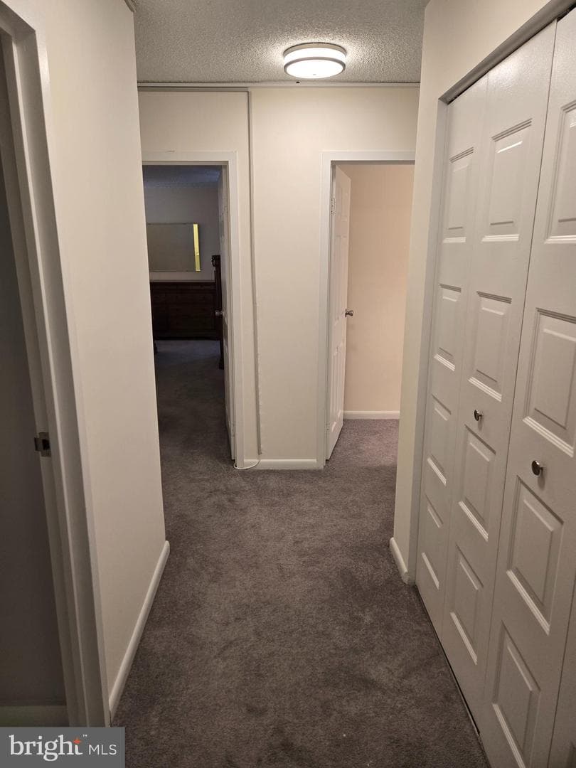 205 E Joppa Road #2509 photo 13