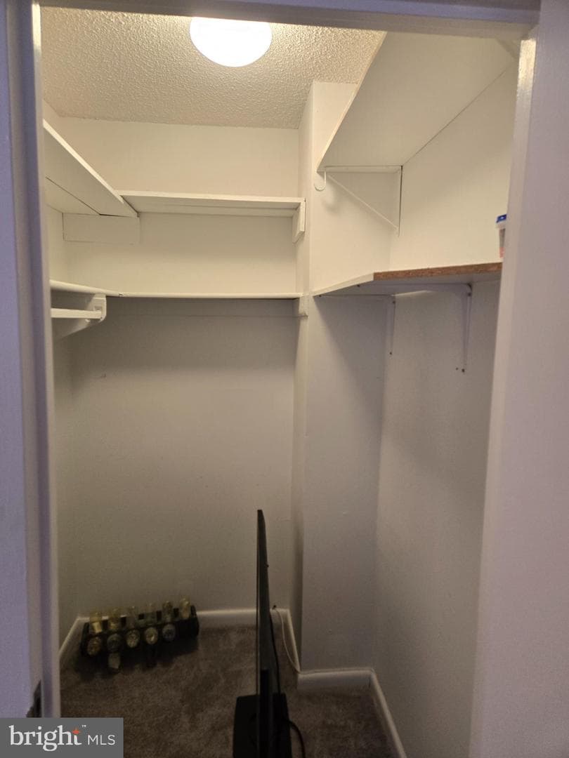 205 E Joppa Road #2509 photo 18