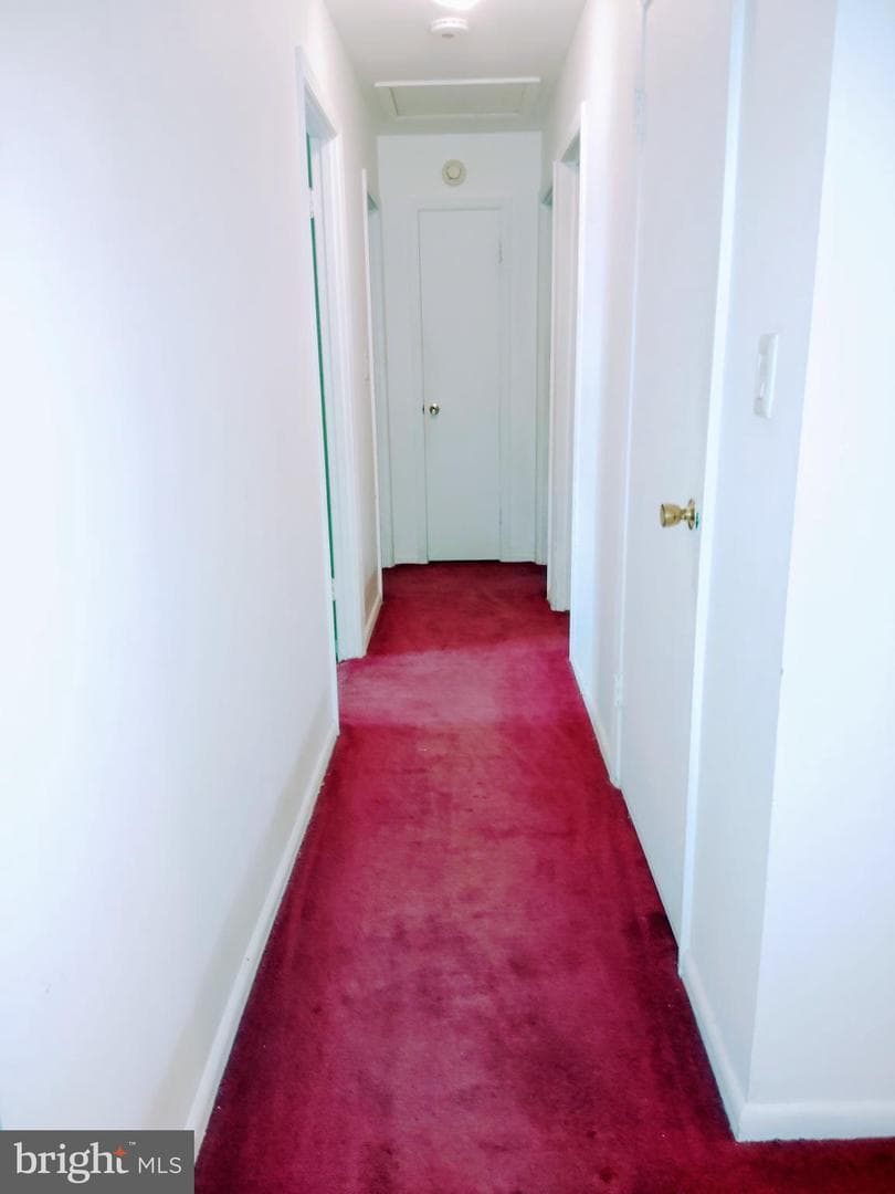 3706 Lamoine Road photo 9