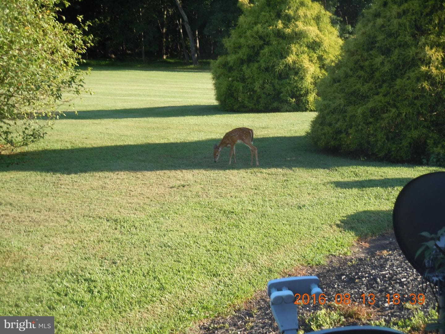 4116 Mount Carmel Road photo 55