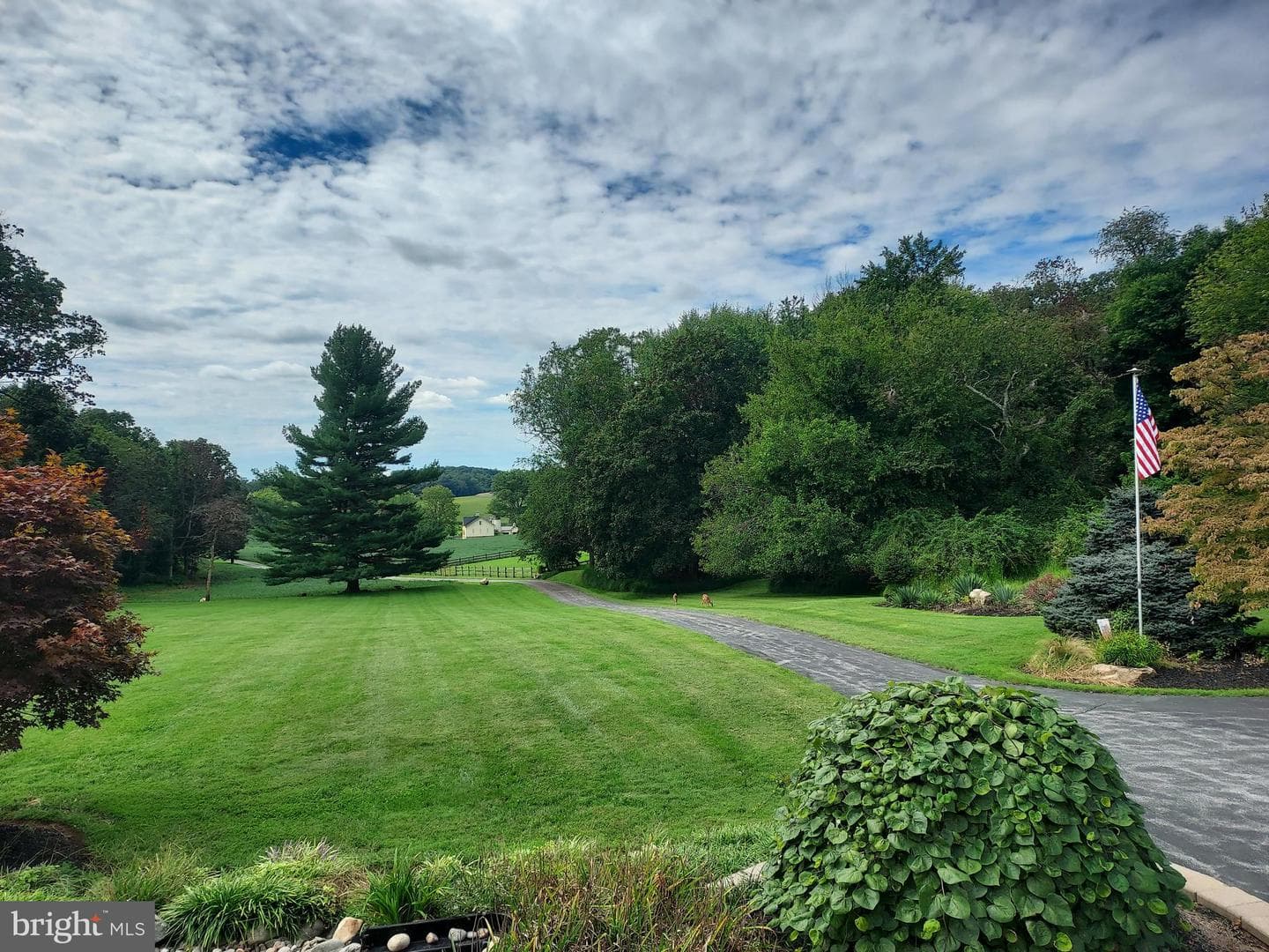 4116 Mount Carmel Road photo 57