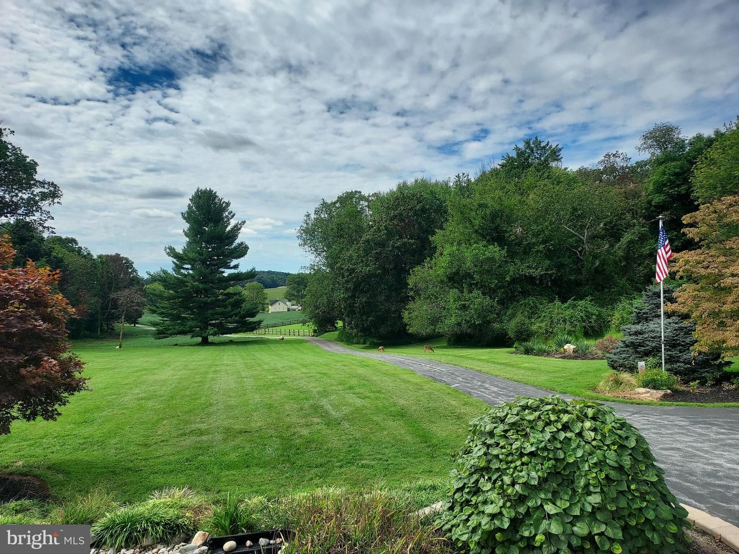 4116 Mount Carmel Road photo 59