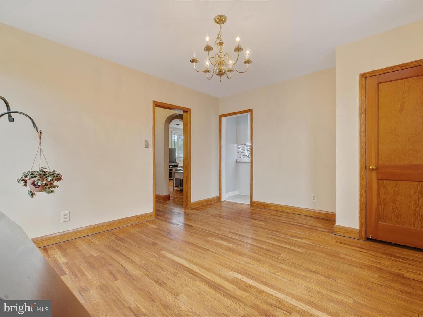55 Broadship Road photo 14
