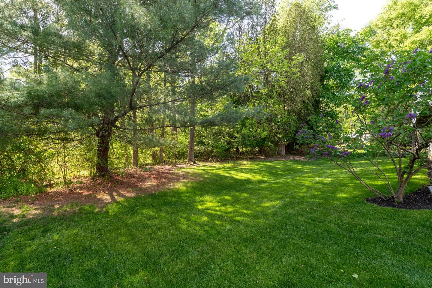 11606 Silvermaple Court photo 45