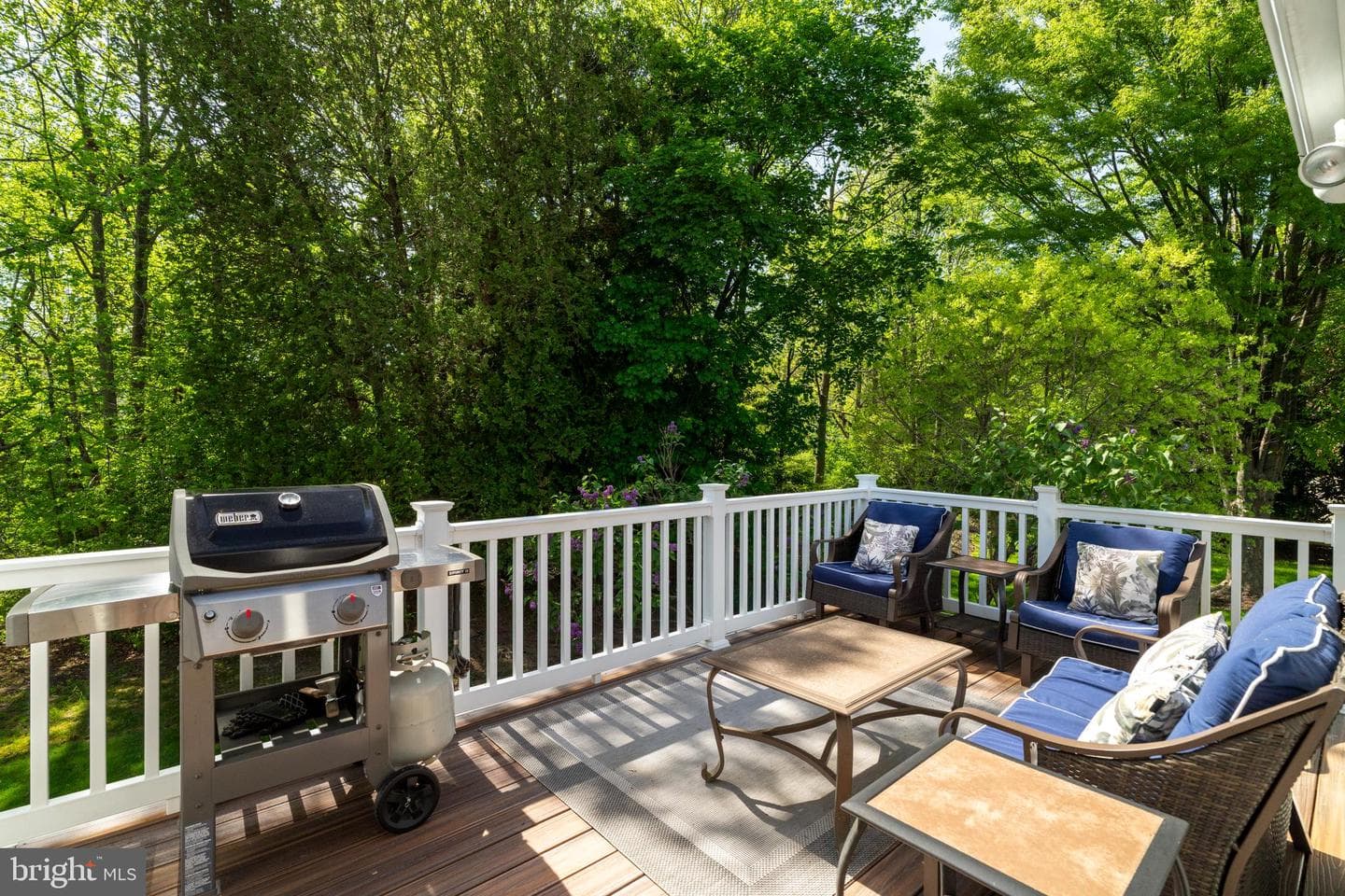 11606 Silvermaple Court photo 46