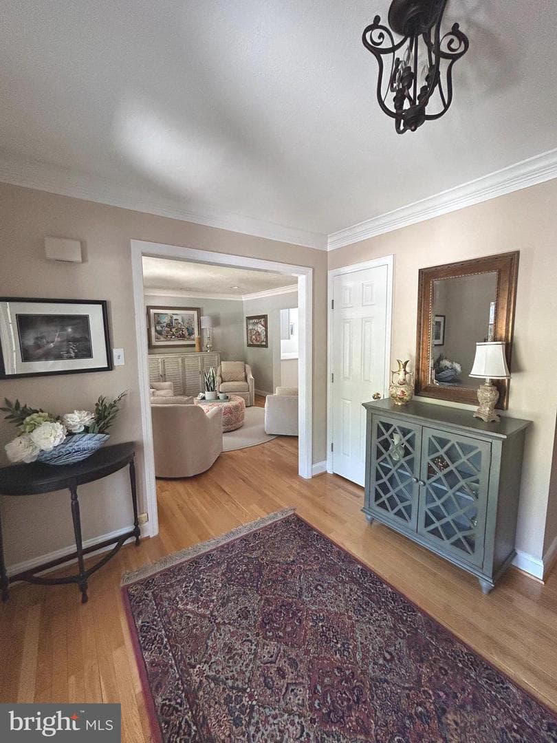 11606 Silvermaple Court photo 9