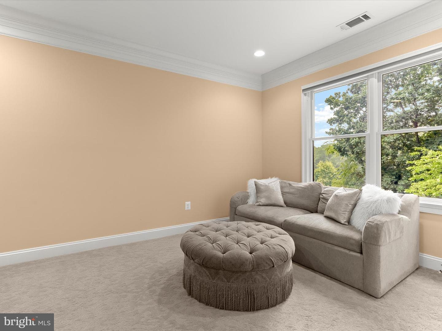 6 Jarretts Court photo 37