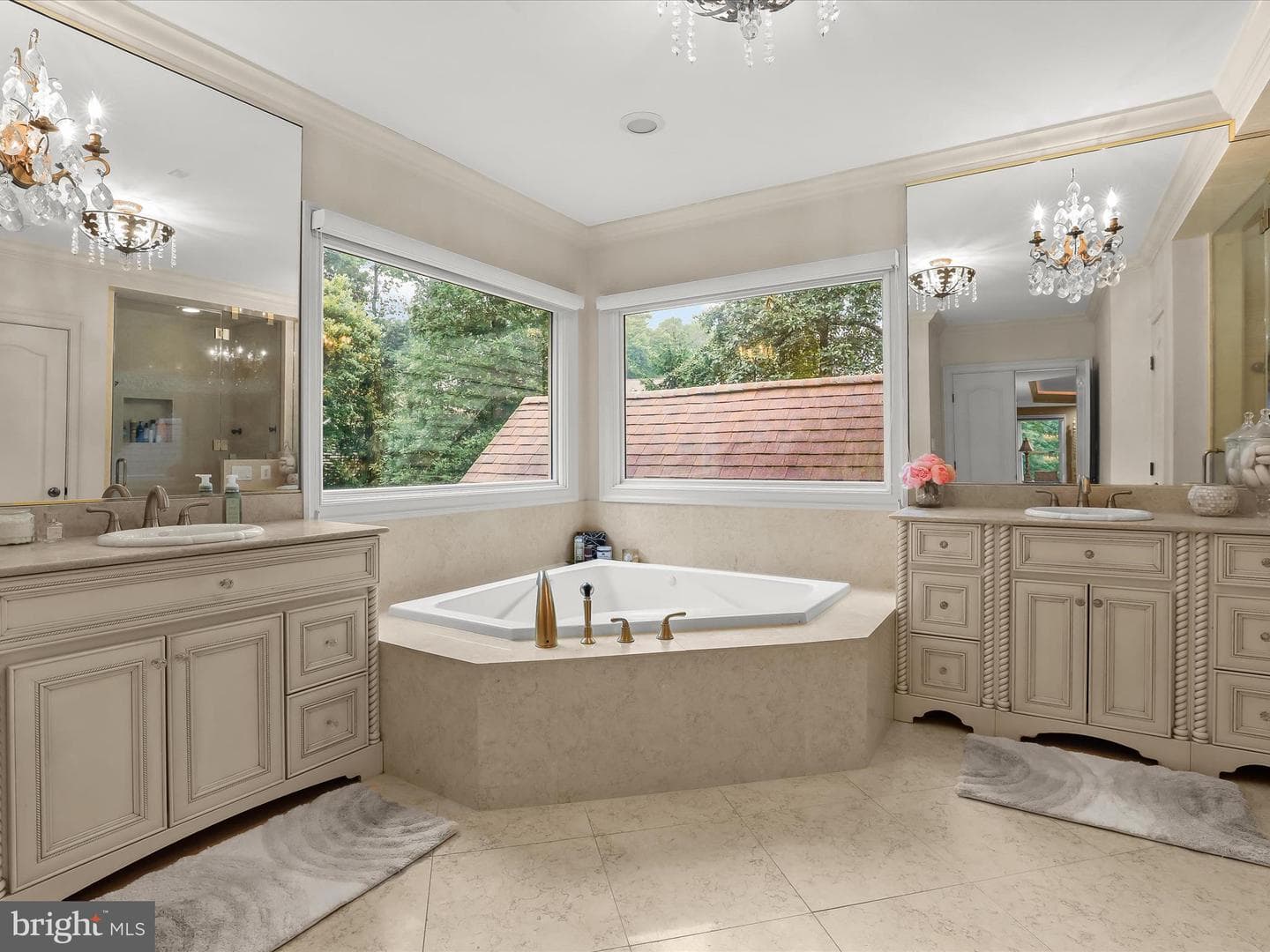 6 Jarretts Court photo 39