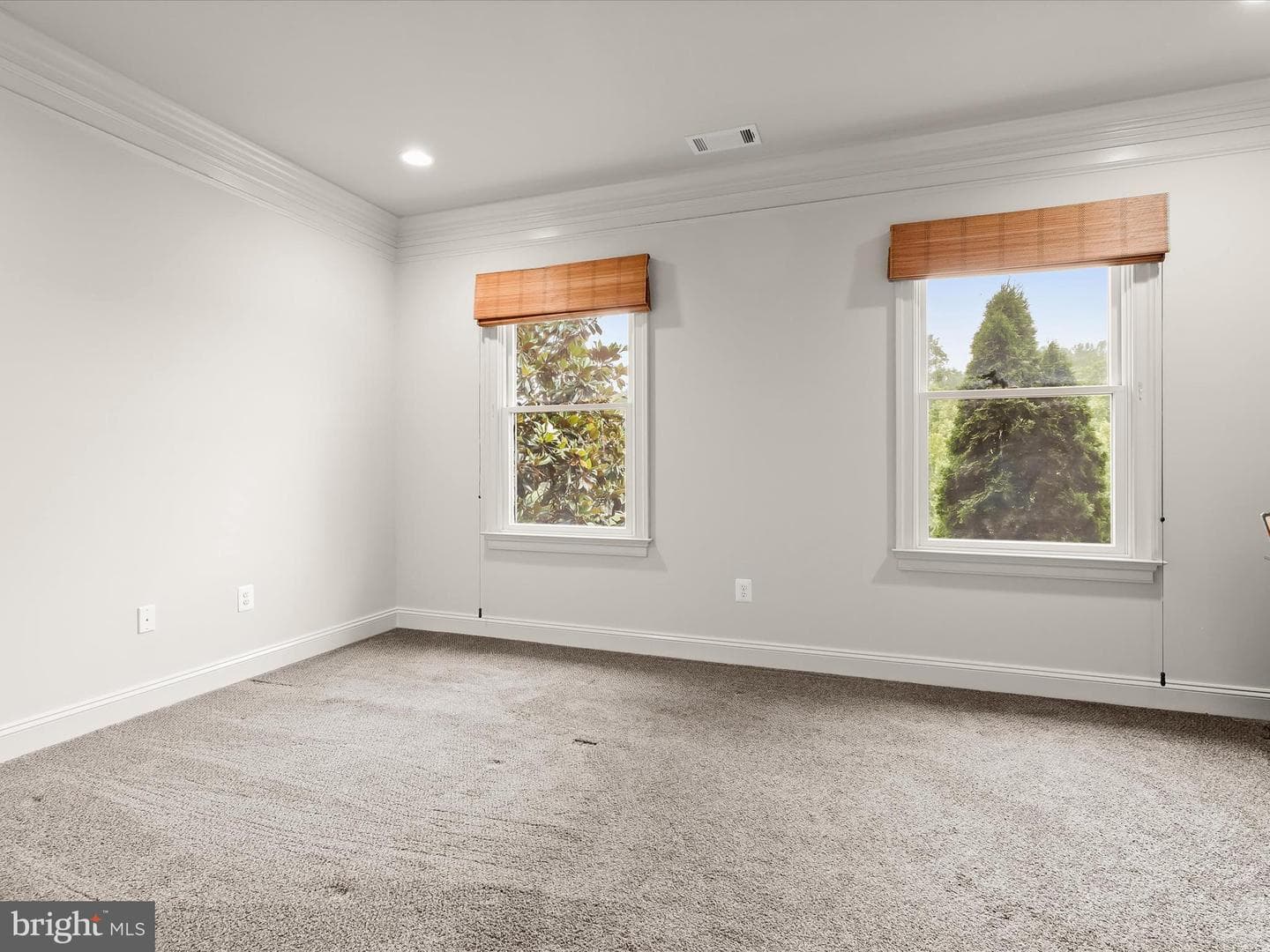 6 Jarretts Court photo 49