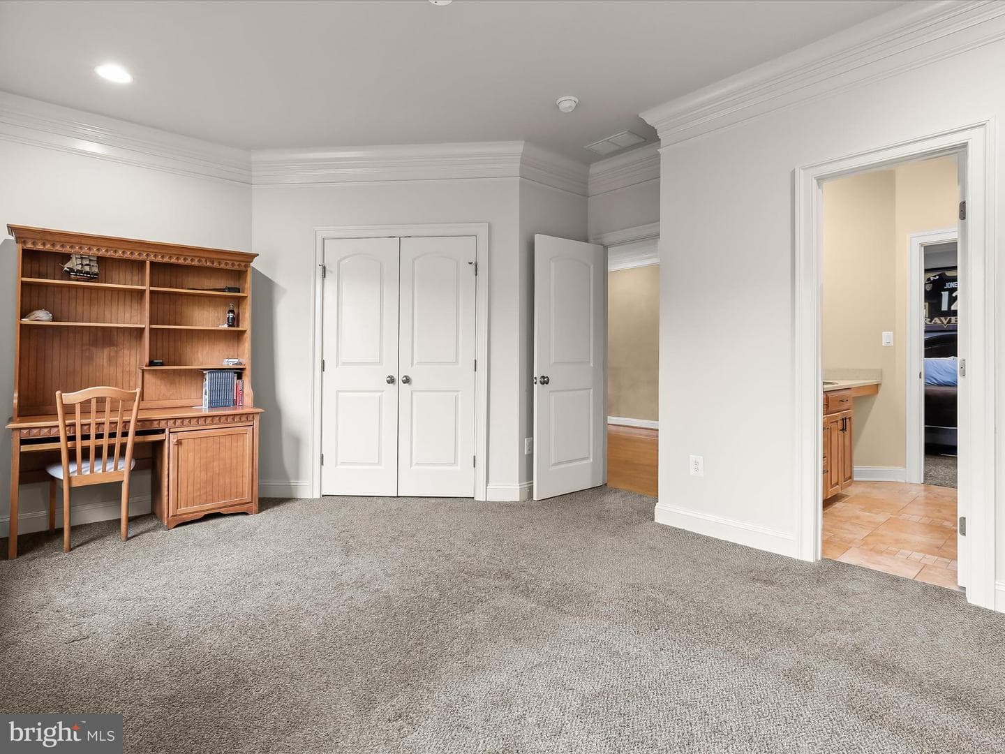 6 Jarretts Court photo 50