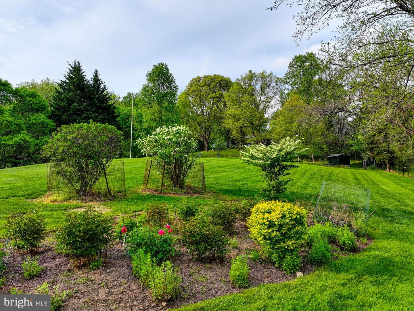 10536 Burnside Farm Road photo 54