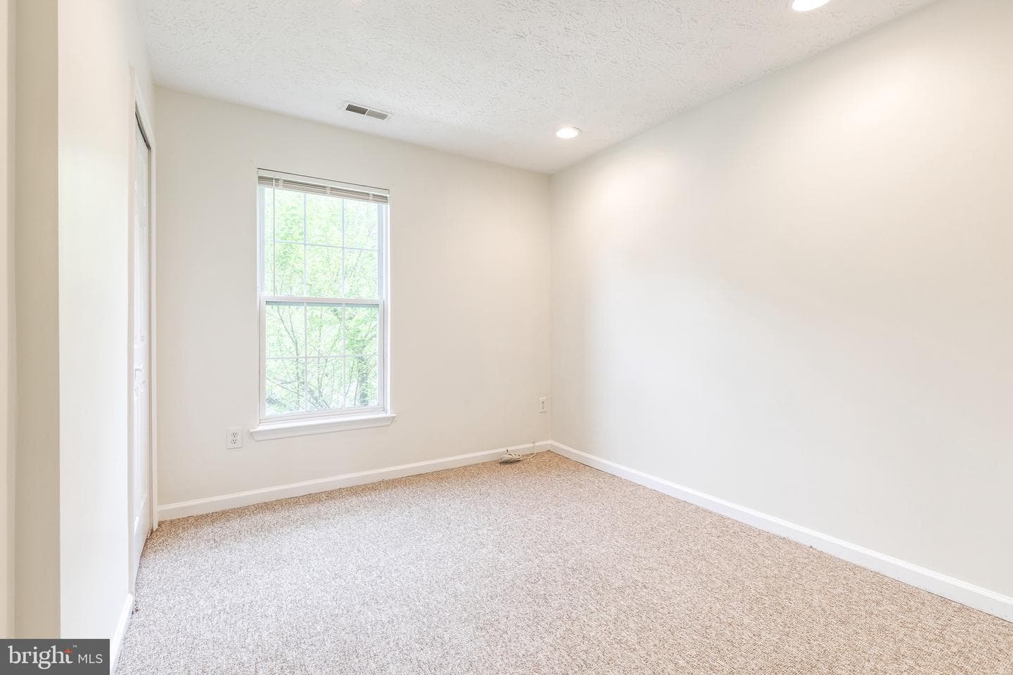 7 Silver Birch Court photo 11