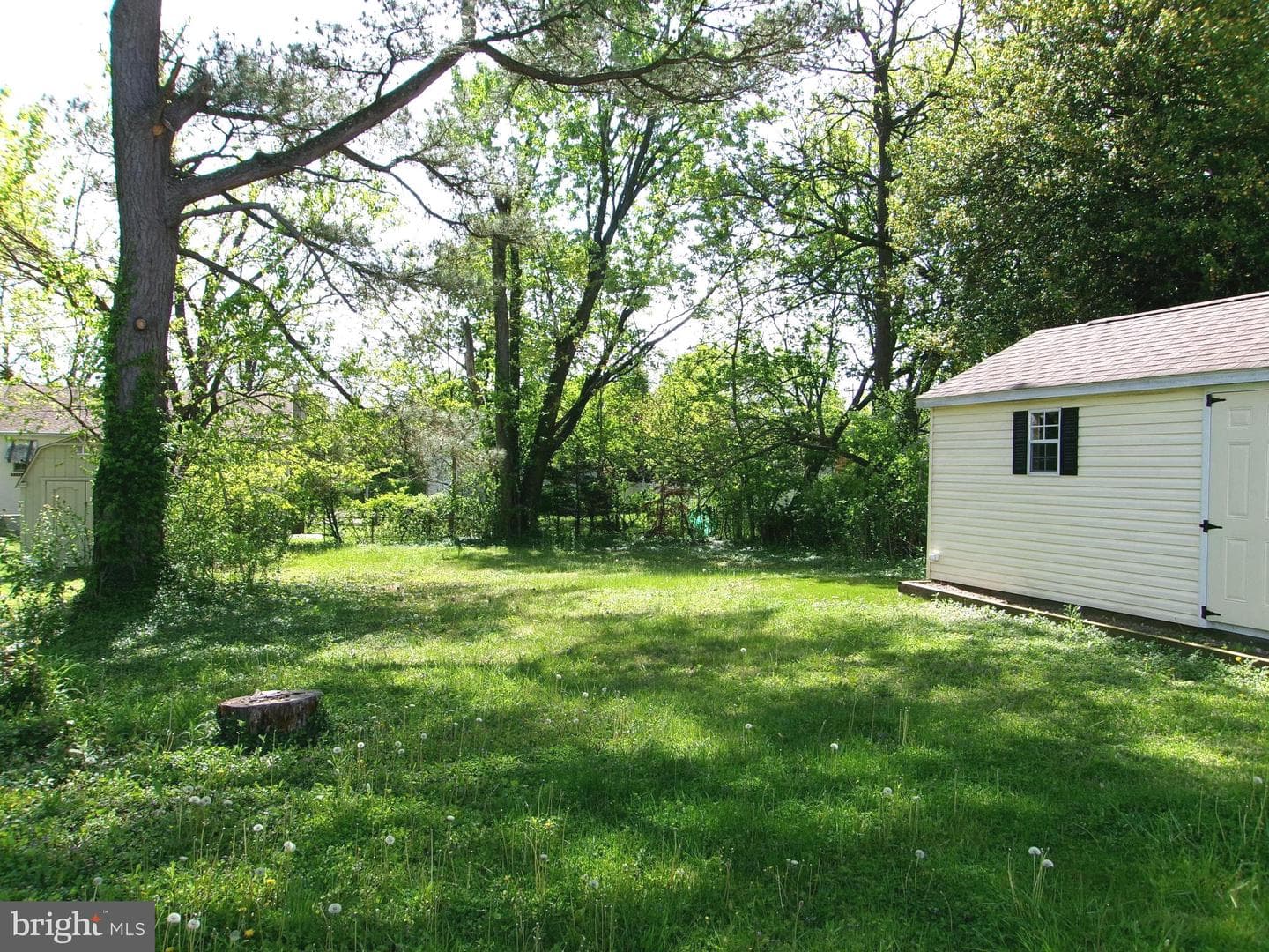 8807 Fearne Avenue photo 30