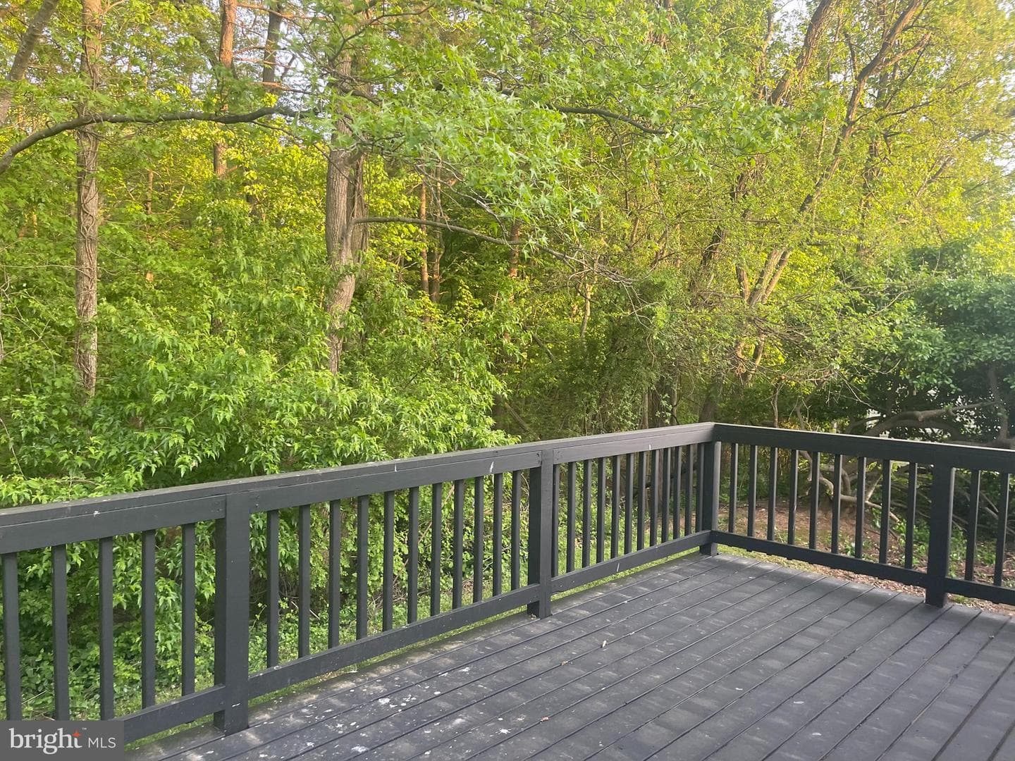 13 Tamarac Trail photo 11