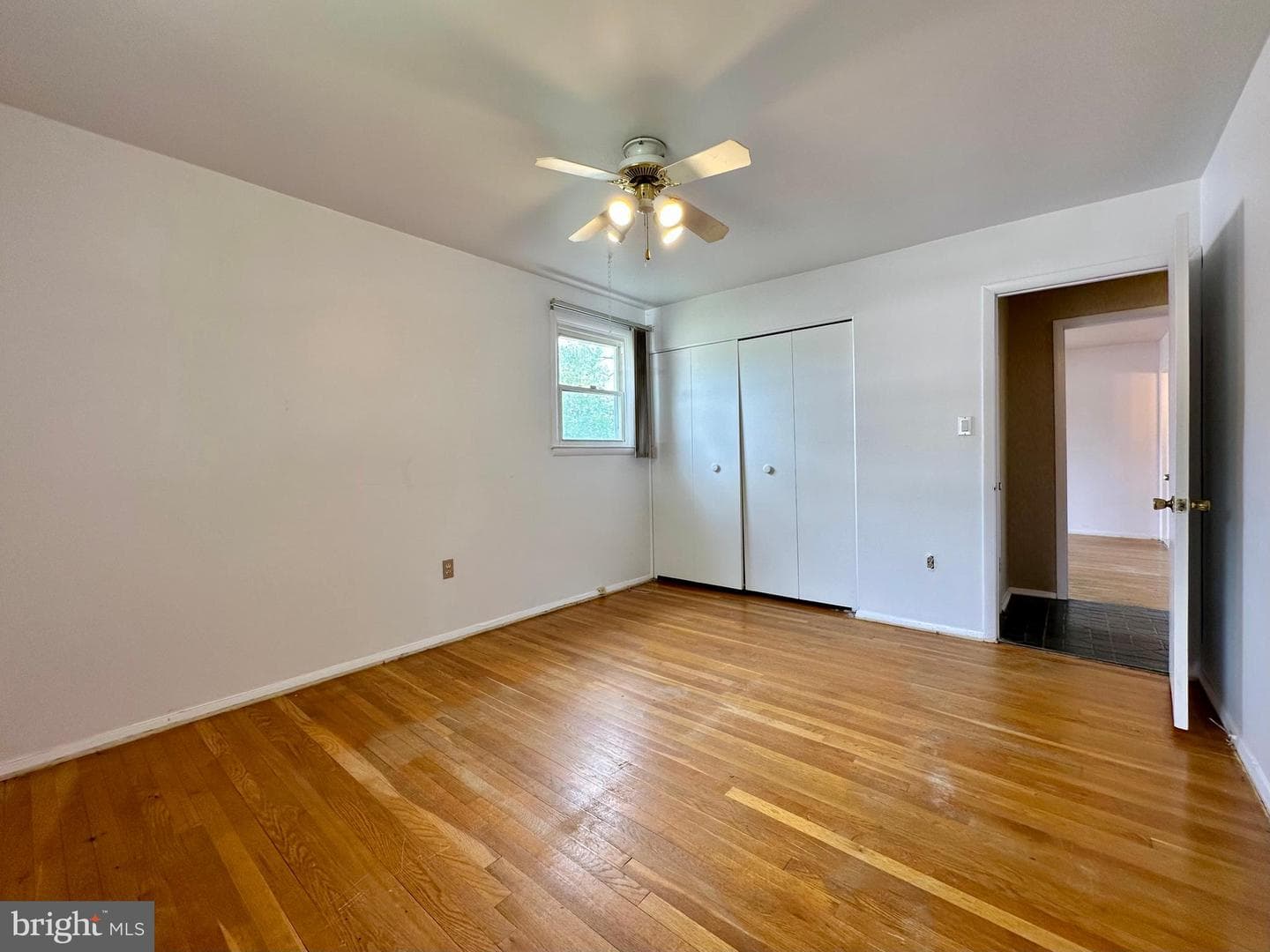 3916 Carthage Road photo 36