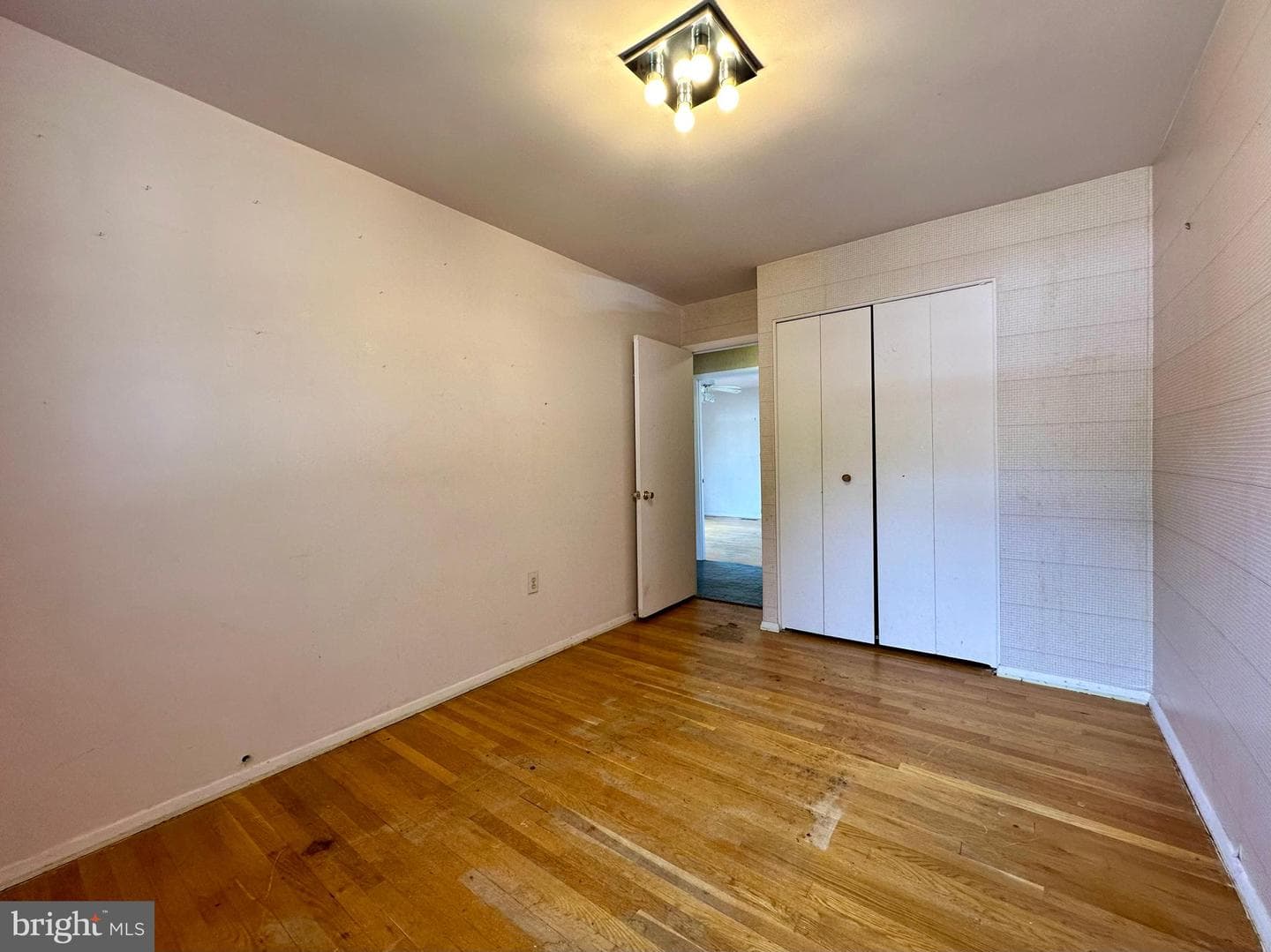 3916 Carthage Road photo 41