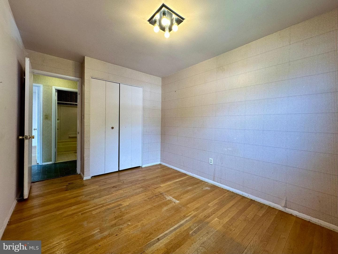3916 Carthage Road photo 42