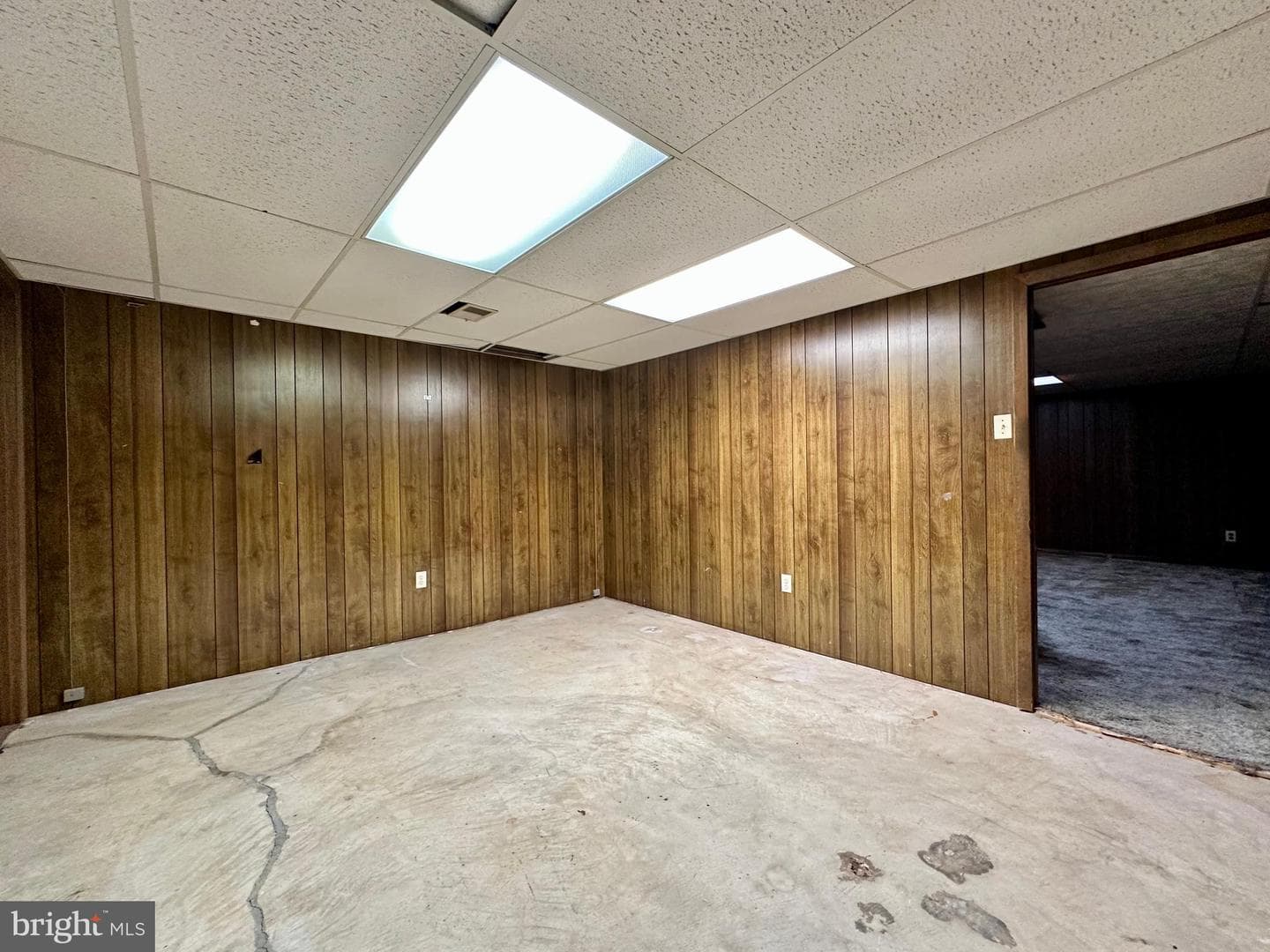 3916 Carthage Road photo 51