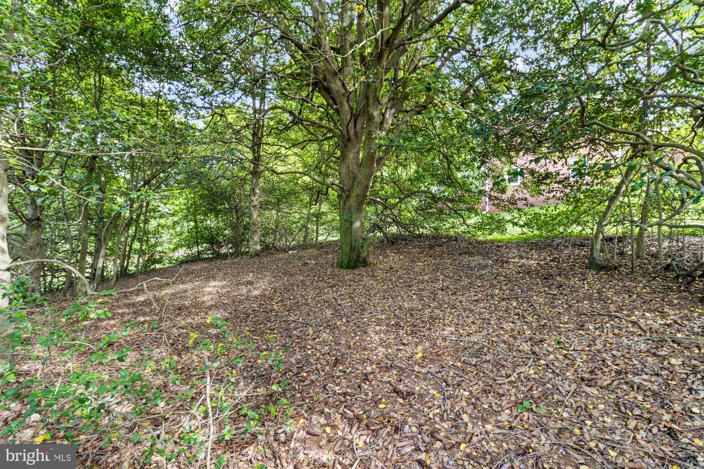 12 Wagon Wheel Court photo 39