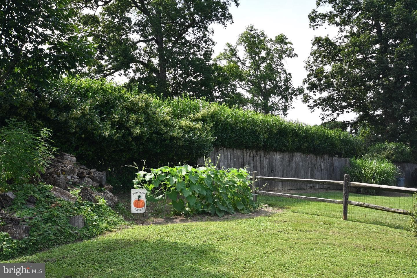 220 W Timonium Road photo 53