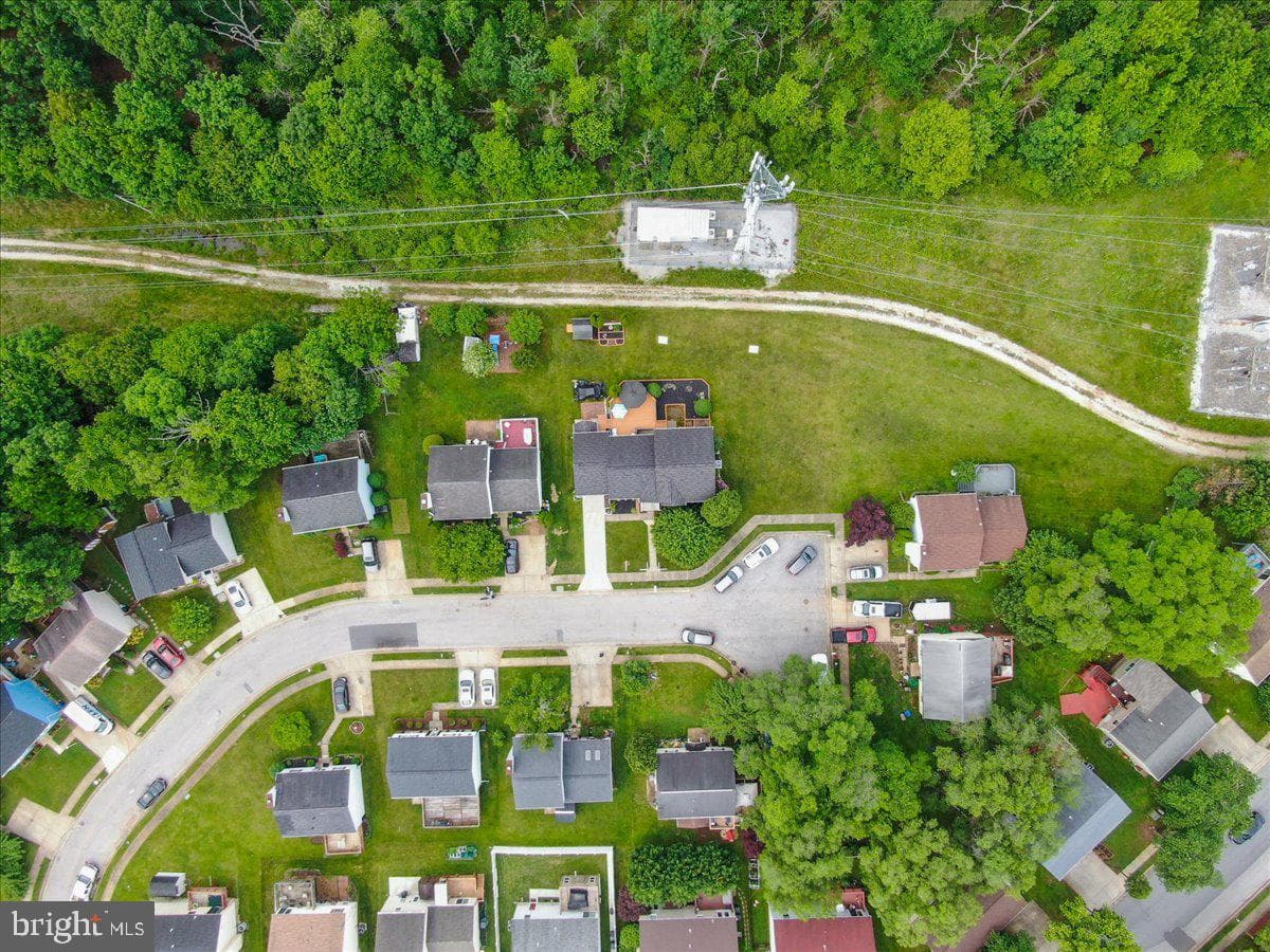 16 Briarleaf Court photo 41