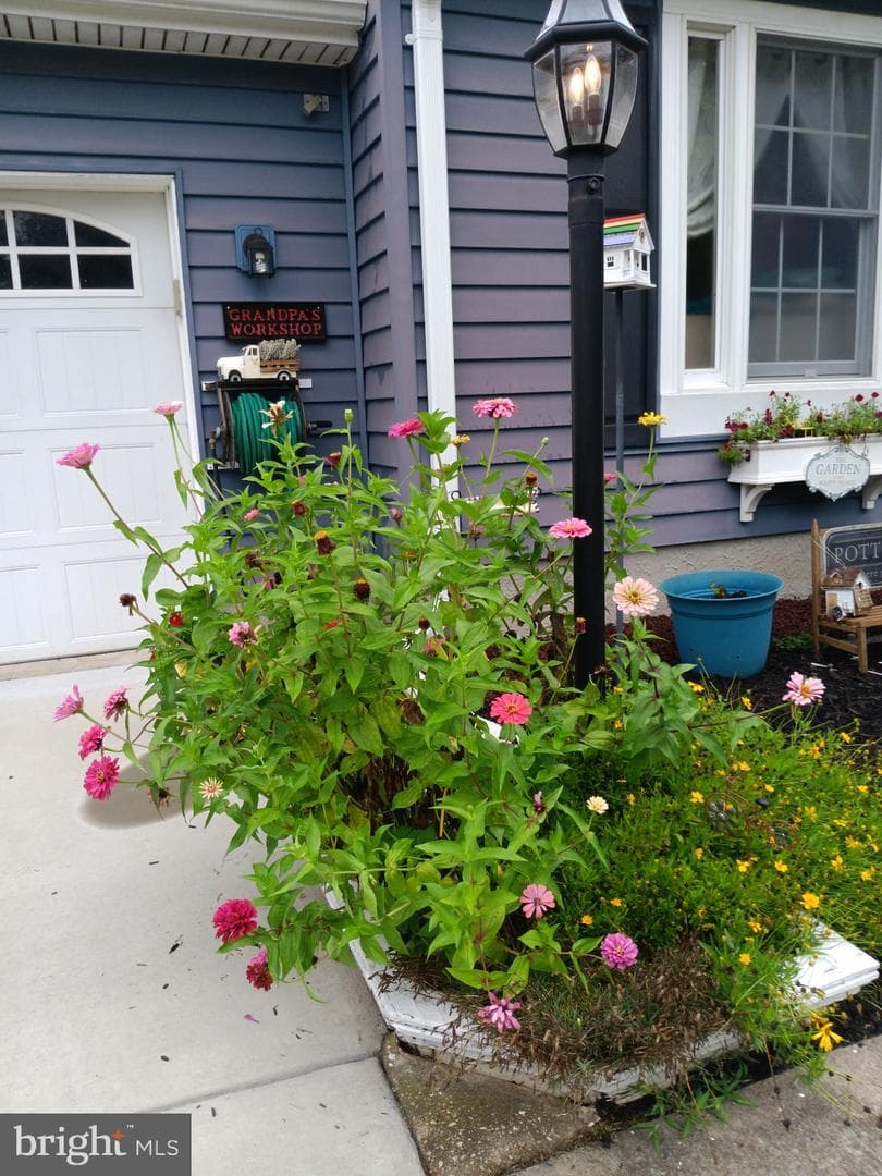 16 Briarleaf Court photo 5