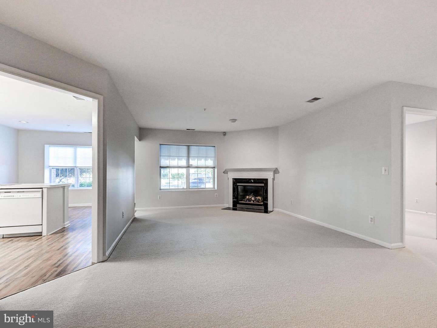 12111 Tullamore Court #101 photo 4