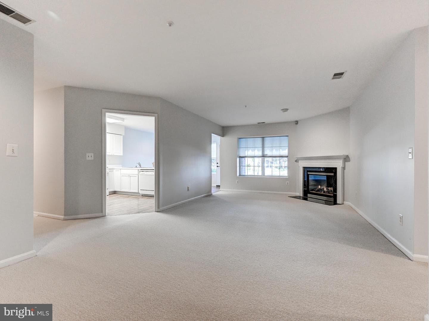 12111 Tullamore Court #101 photo 5