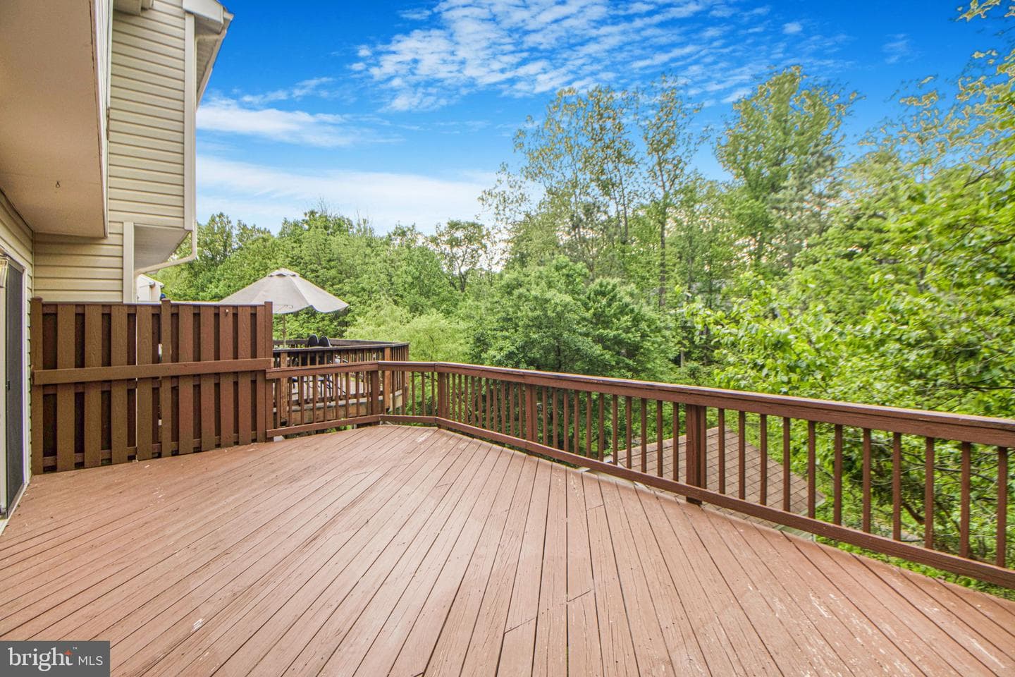 2 Cedarcone Court photo 49