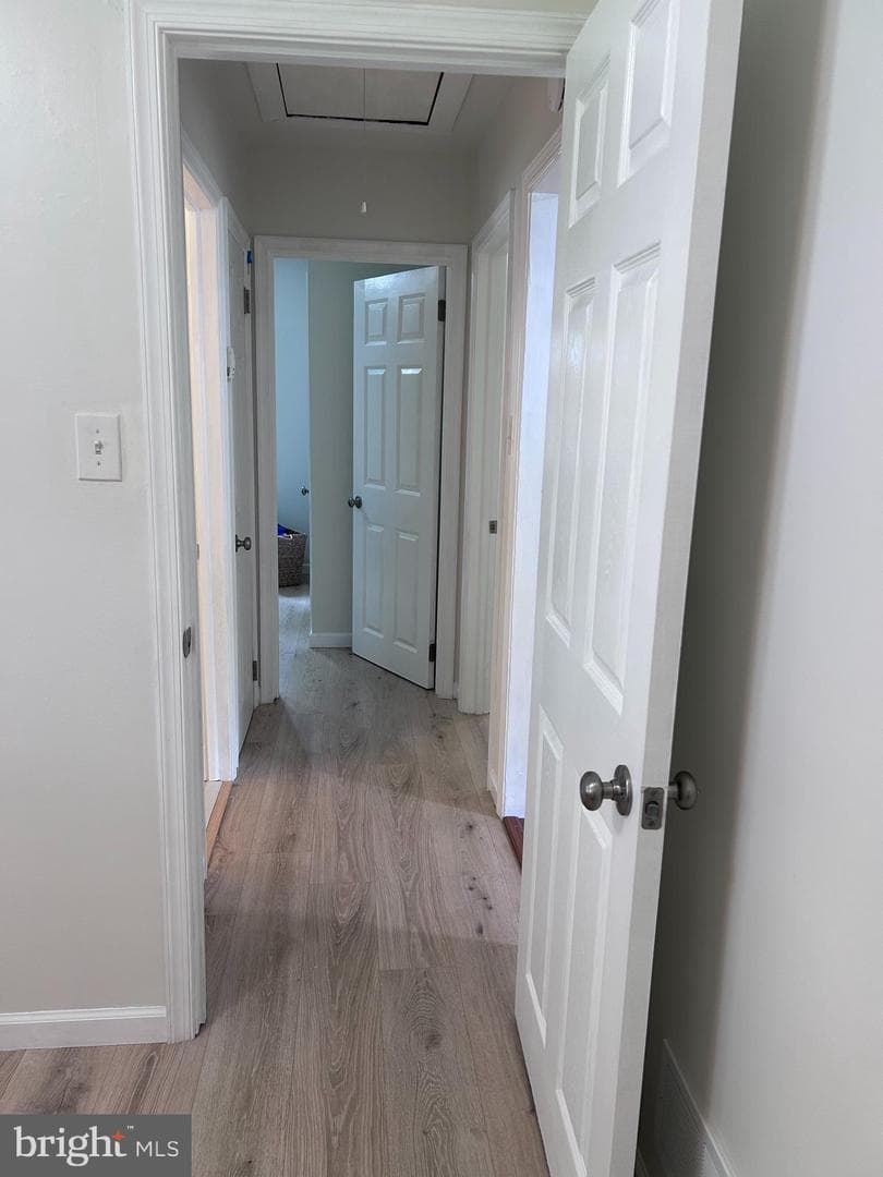 9 Opie Road photo 25