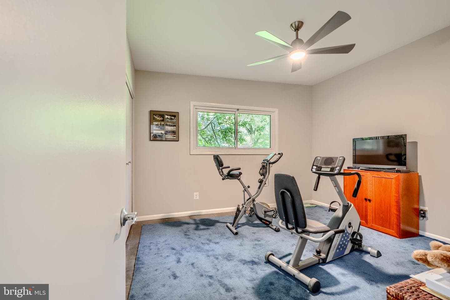 113 Swanhill Court photo 46