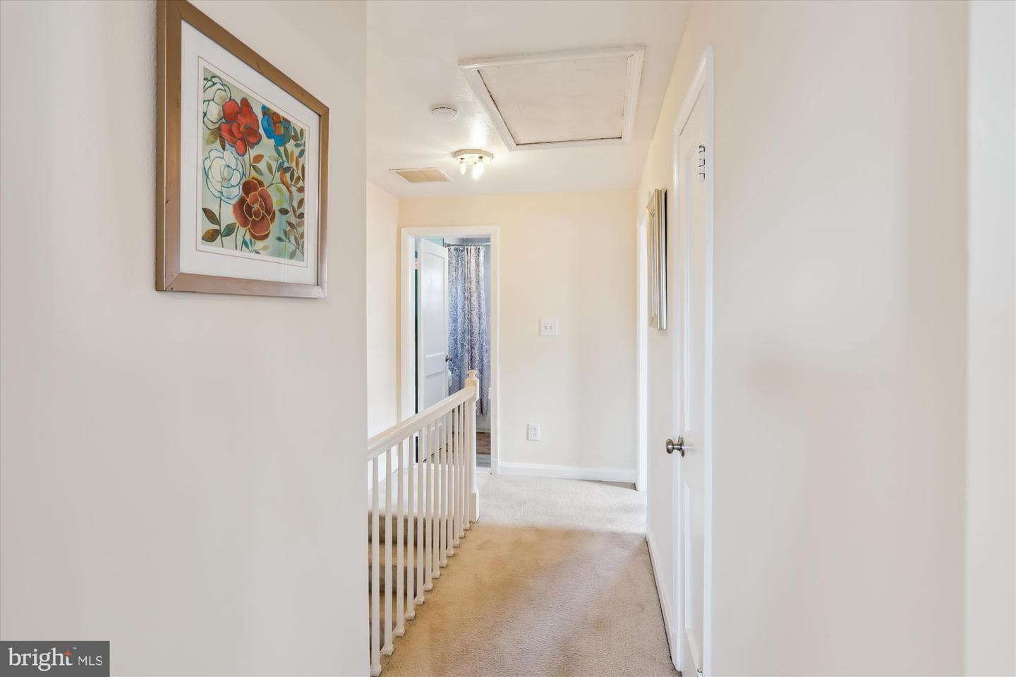 1075 Elm photo 17