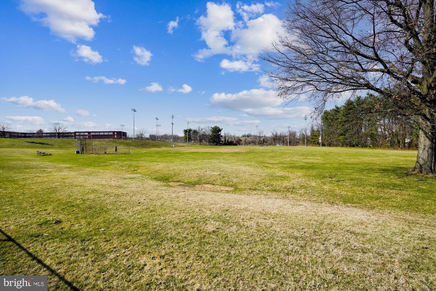 1075 Elm photo 41