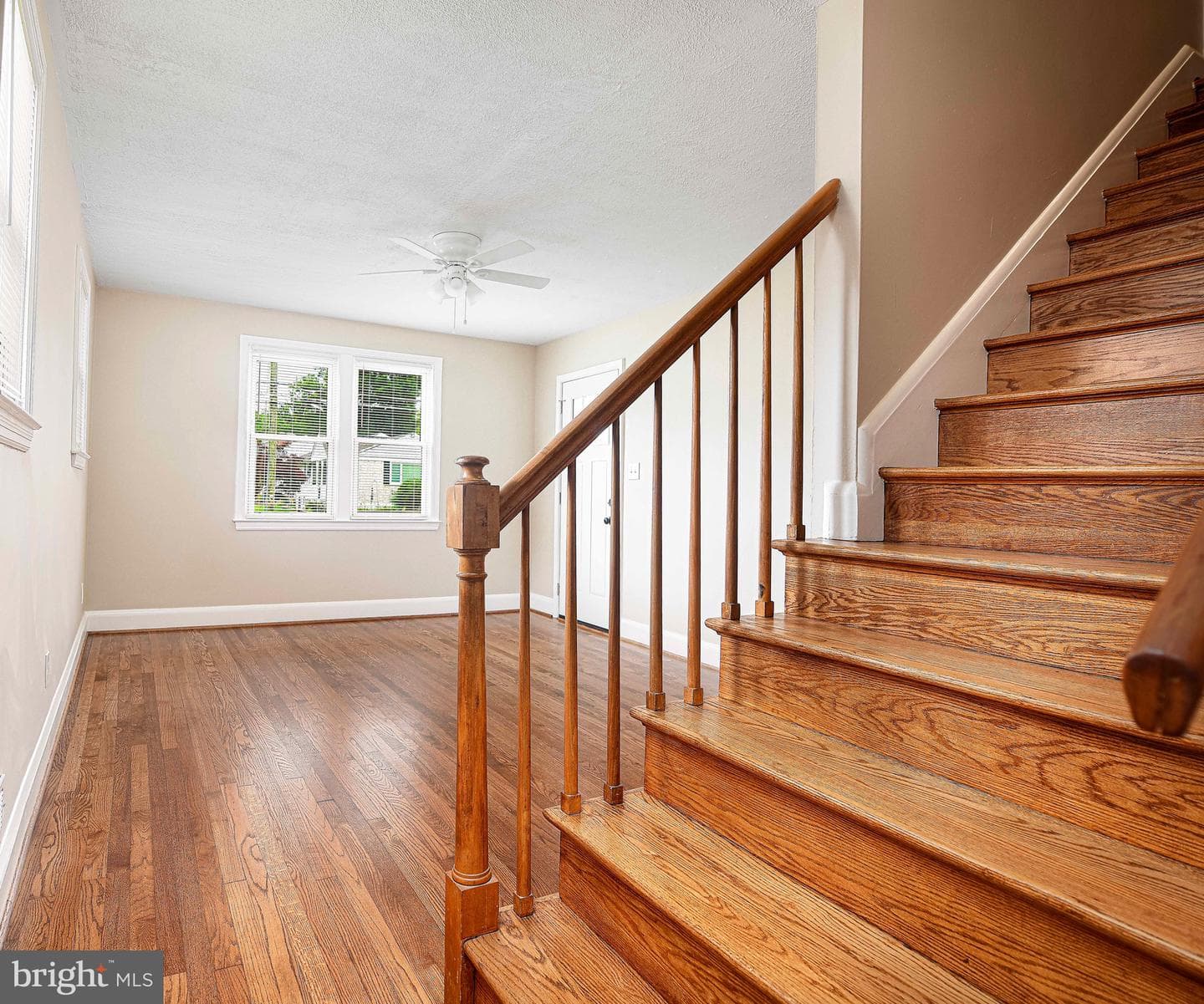 803 Essex Avenue photo 6
