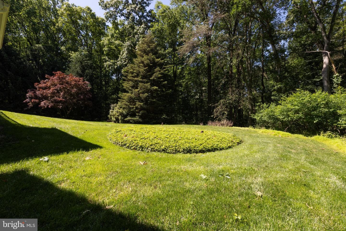 9 Fork Spring Court photo 39