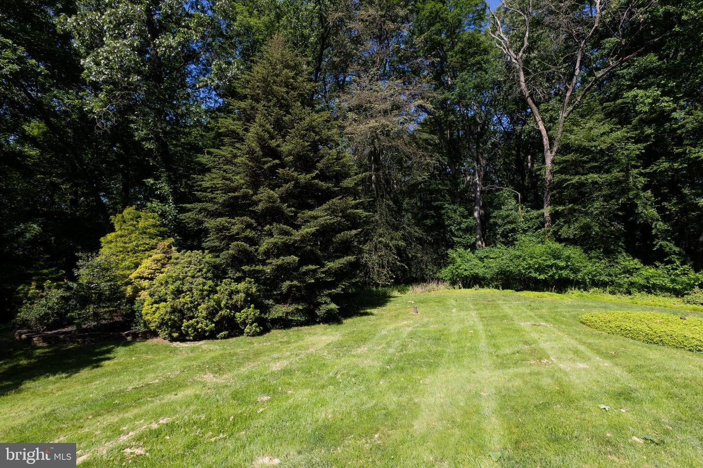 9 Fork Spring Court photo 40