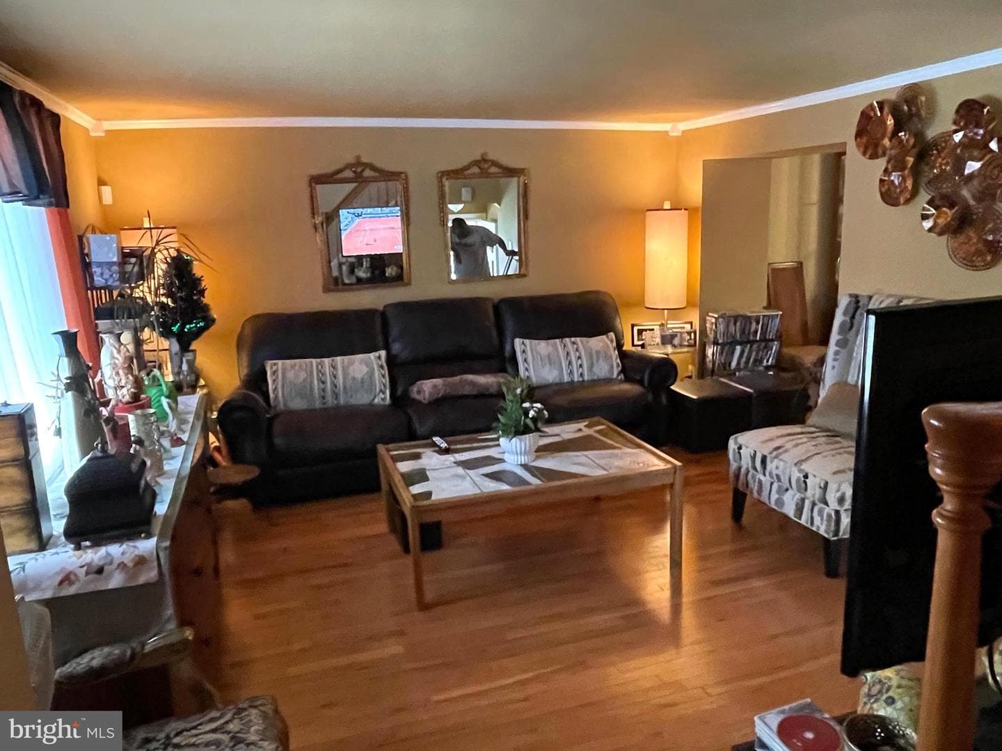 6639 Dalton Drive photo 3
