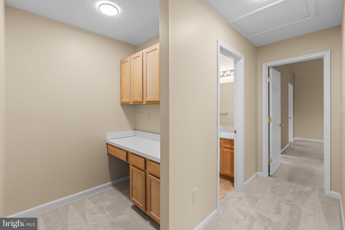 7824 Big Buck Drive photo 23