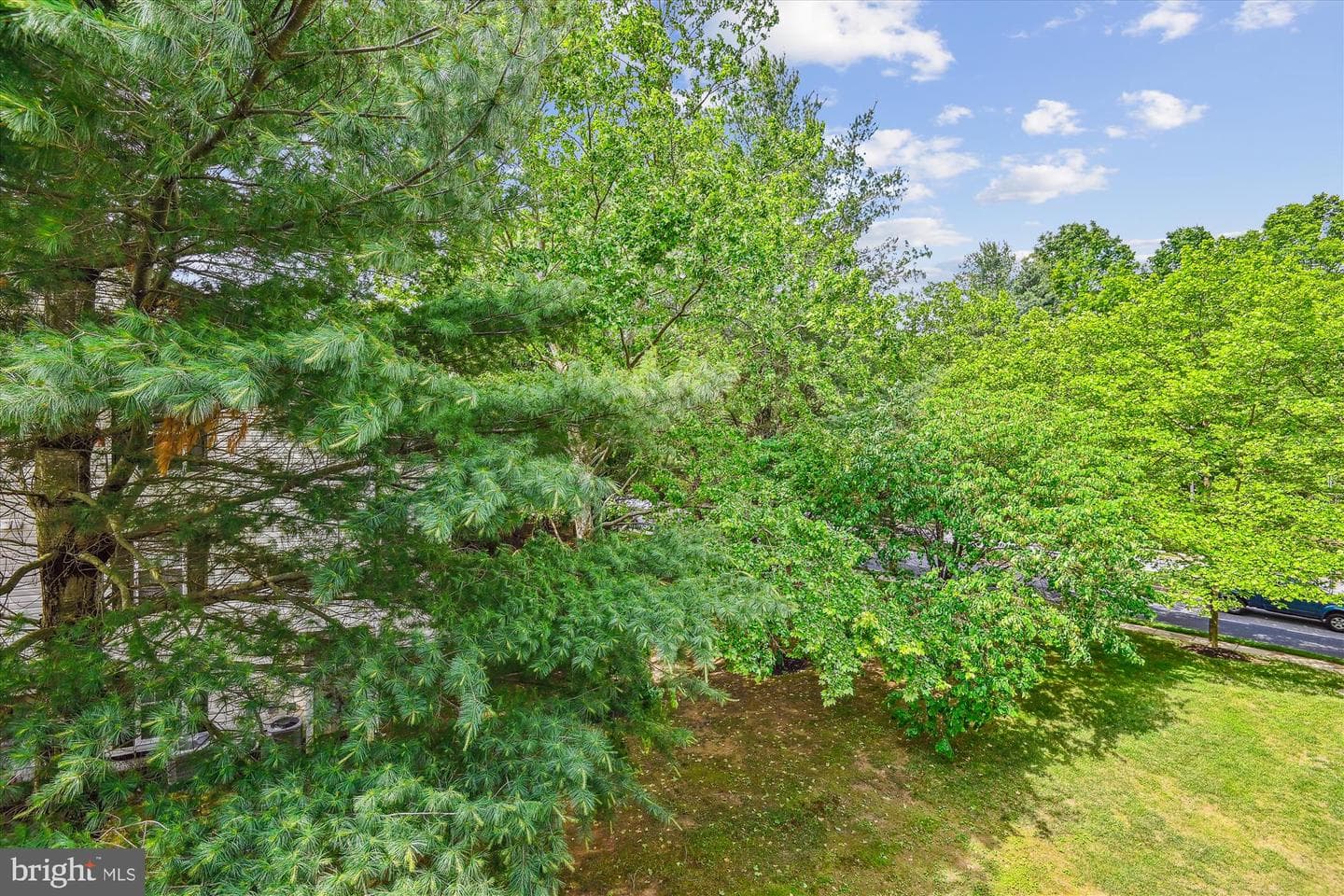 9763 Reese Farm Road #9763 photo 22
