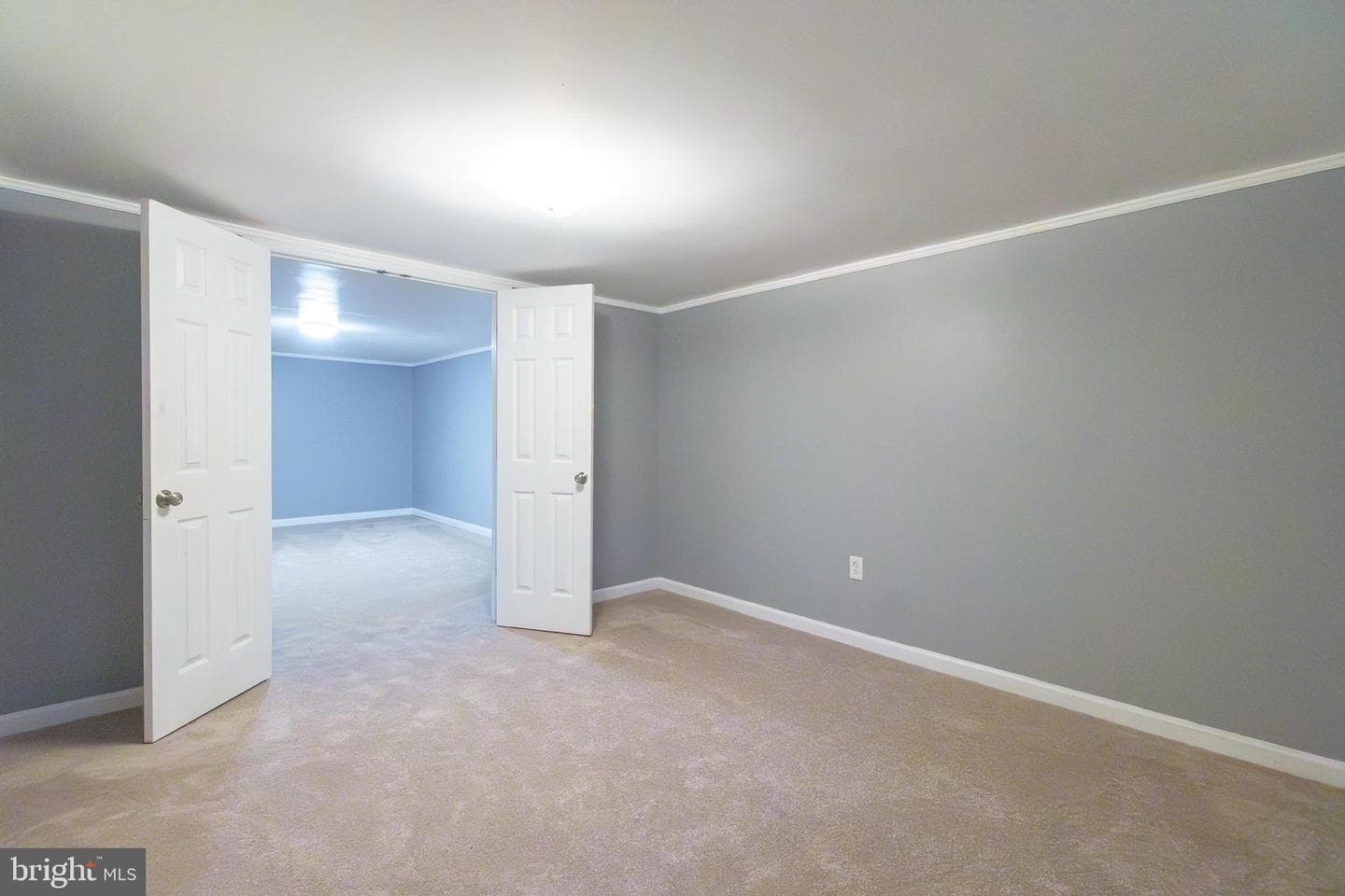 6 Carroll Road photo 19