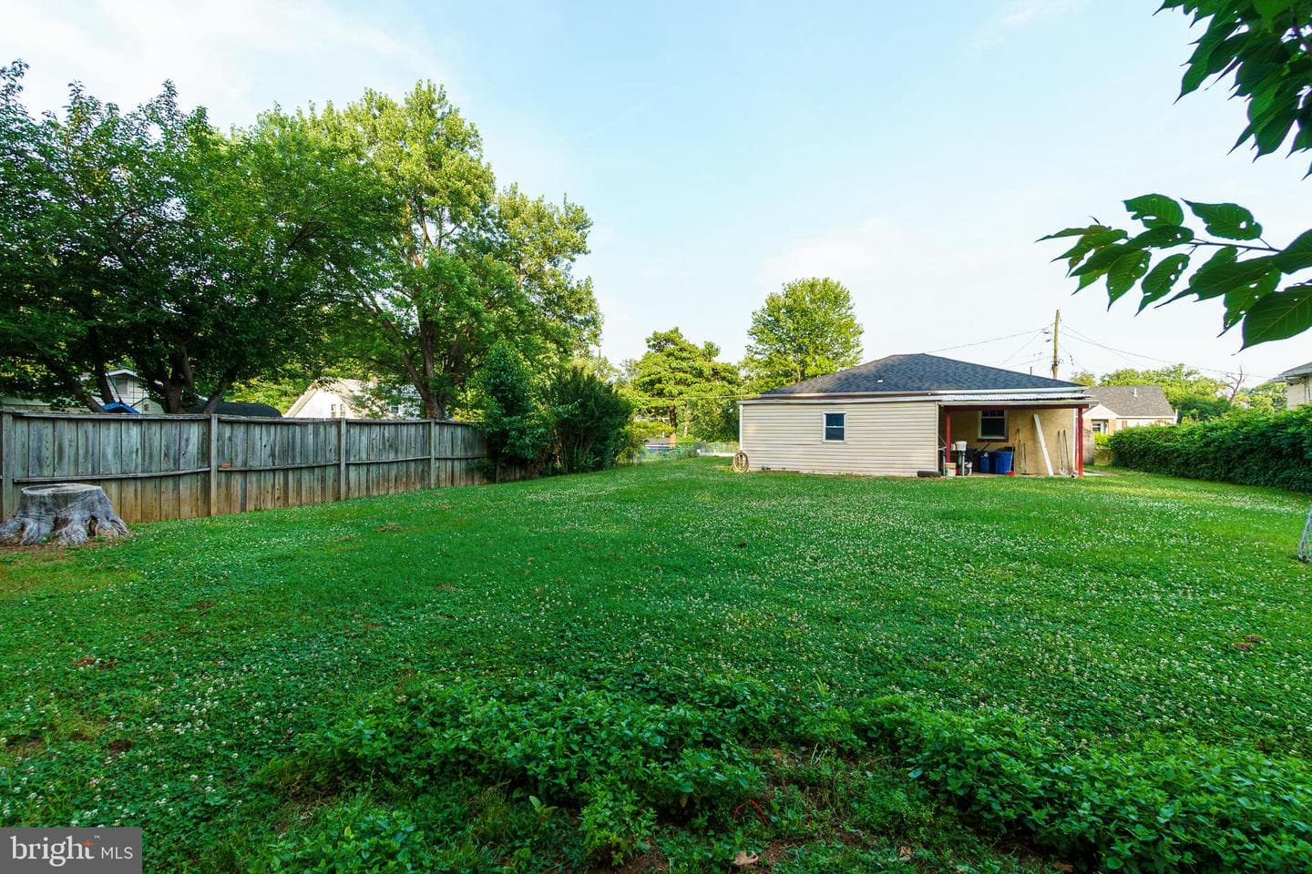 6 Carroll Road photo 28