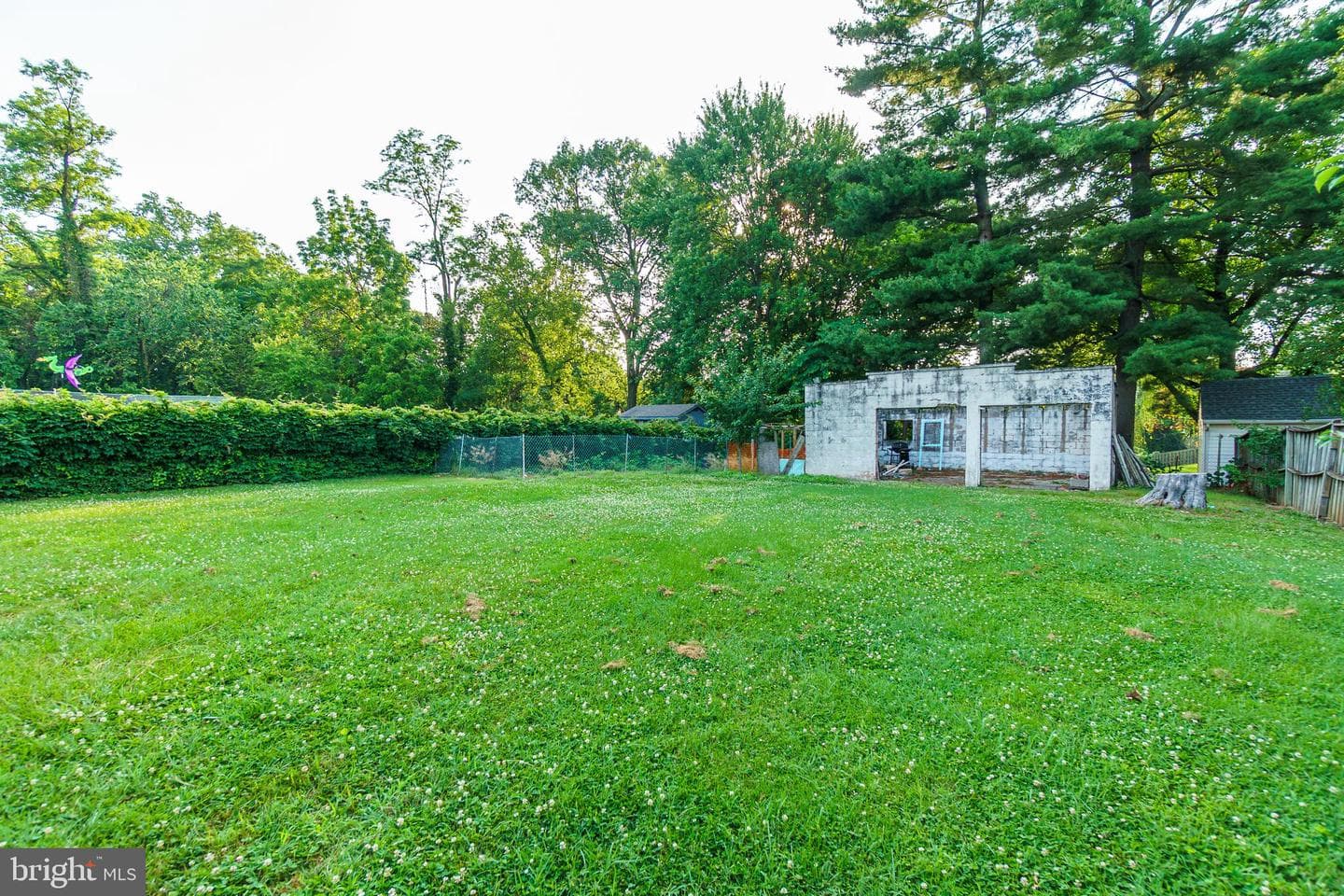 6 Carroll Road photo 31