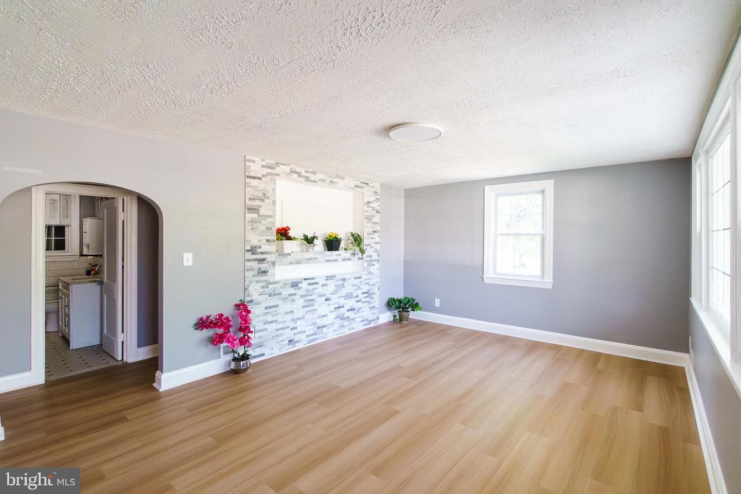 6 Carroll Road photo 4