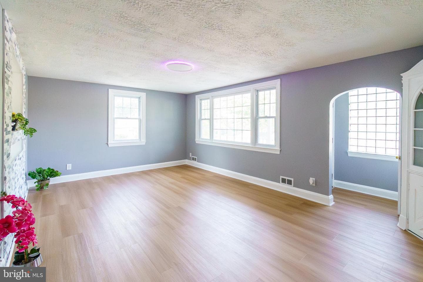 6 Carroll Road photo 5