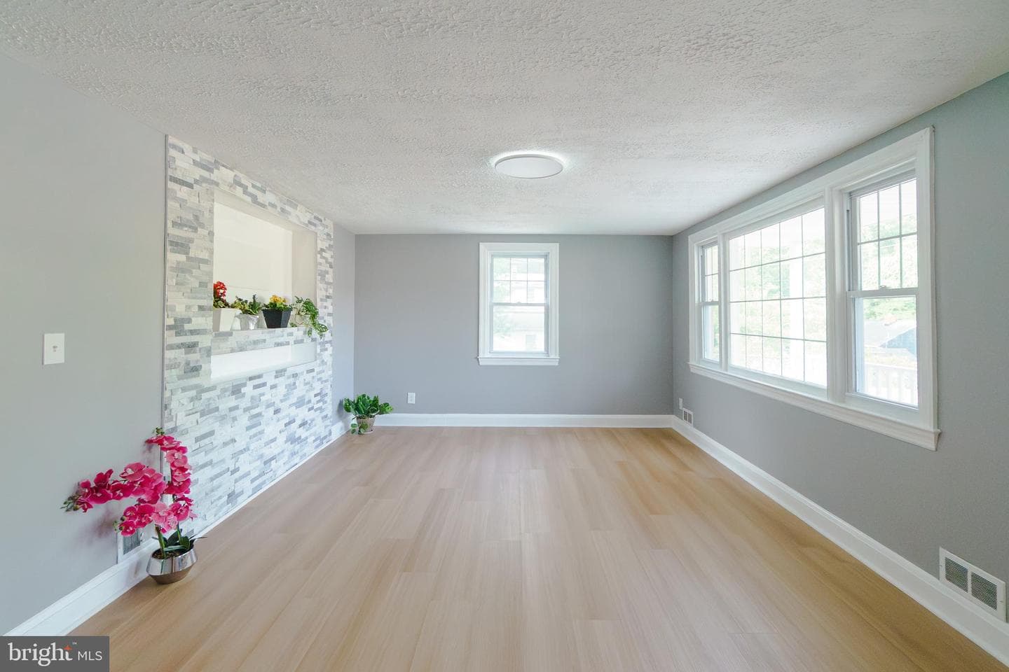 6 Carroll Road photo 6