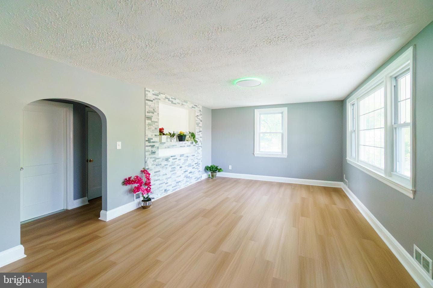 6 Carroll Road photo 8