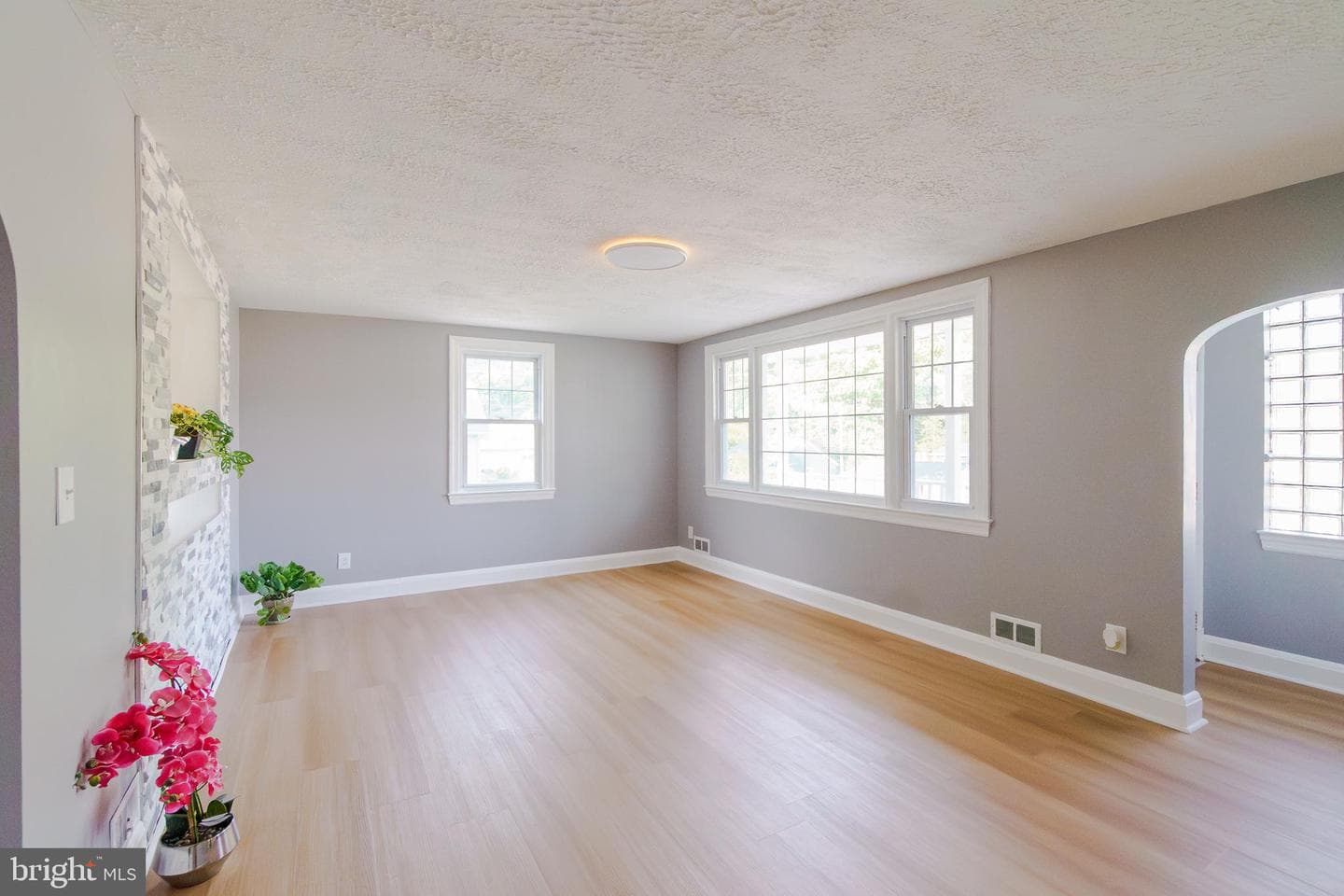 6 Carroll Road photo 9
