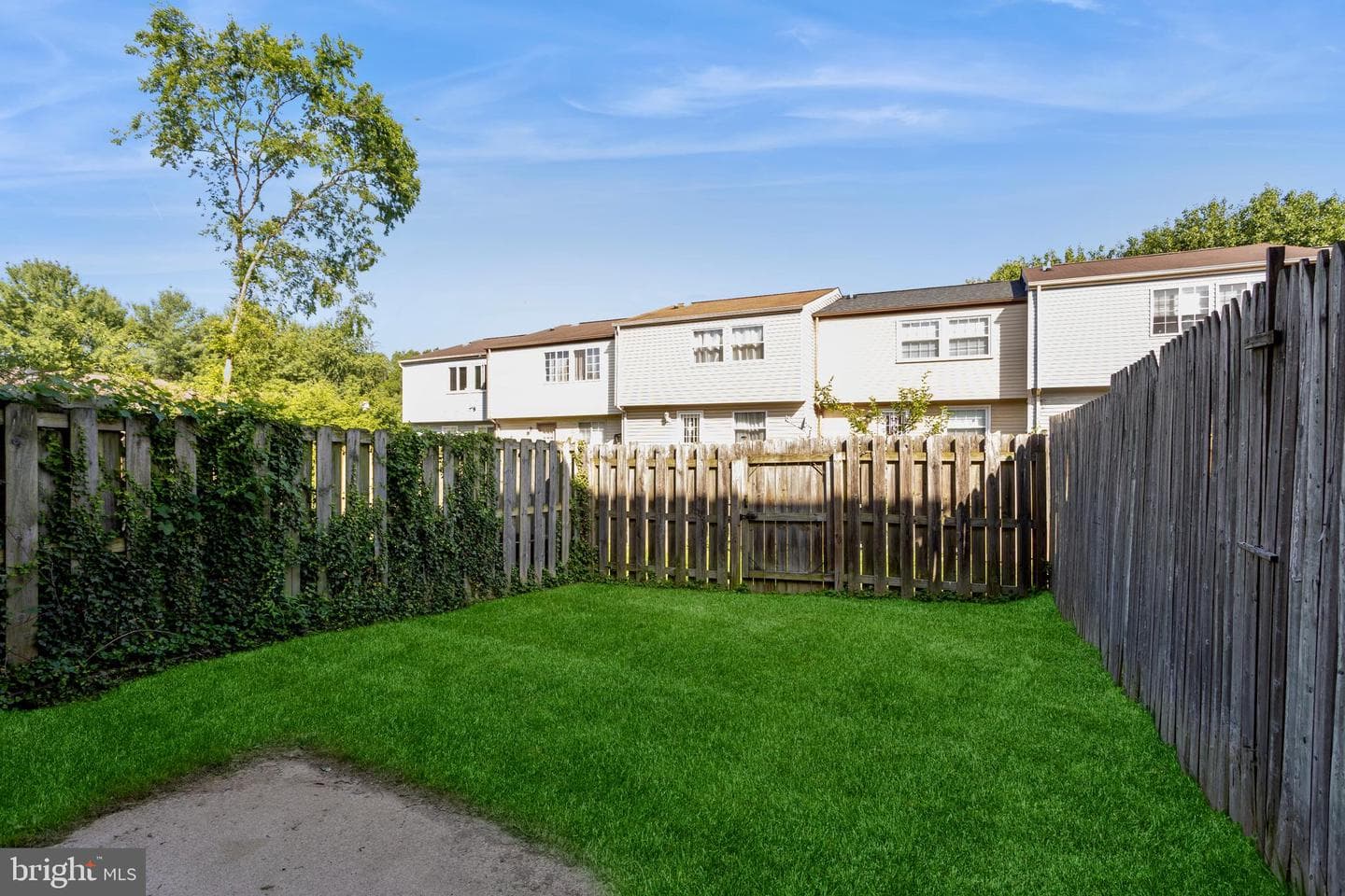 8 Tatler Place photo 54