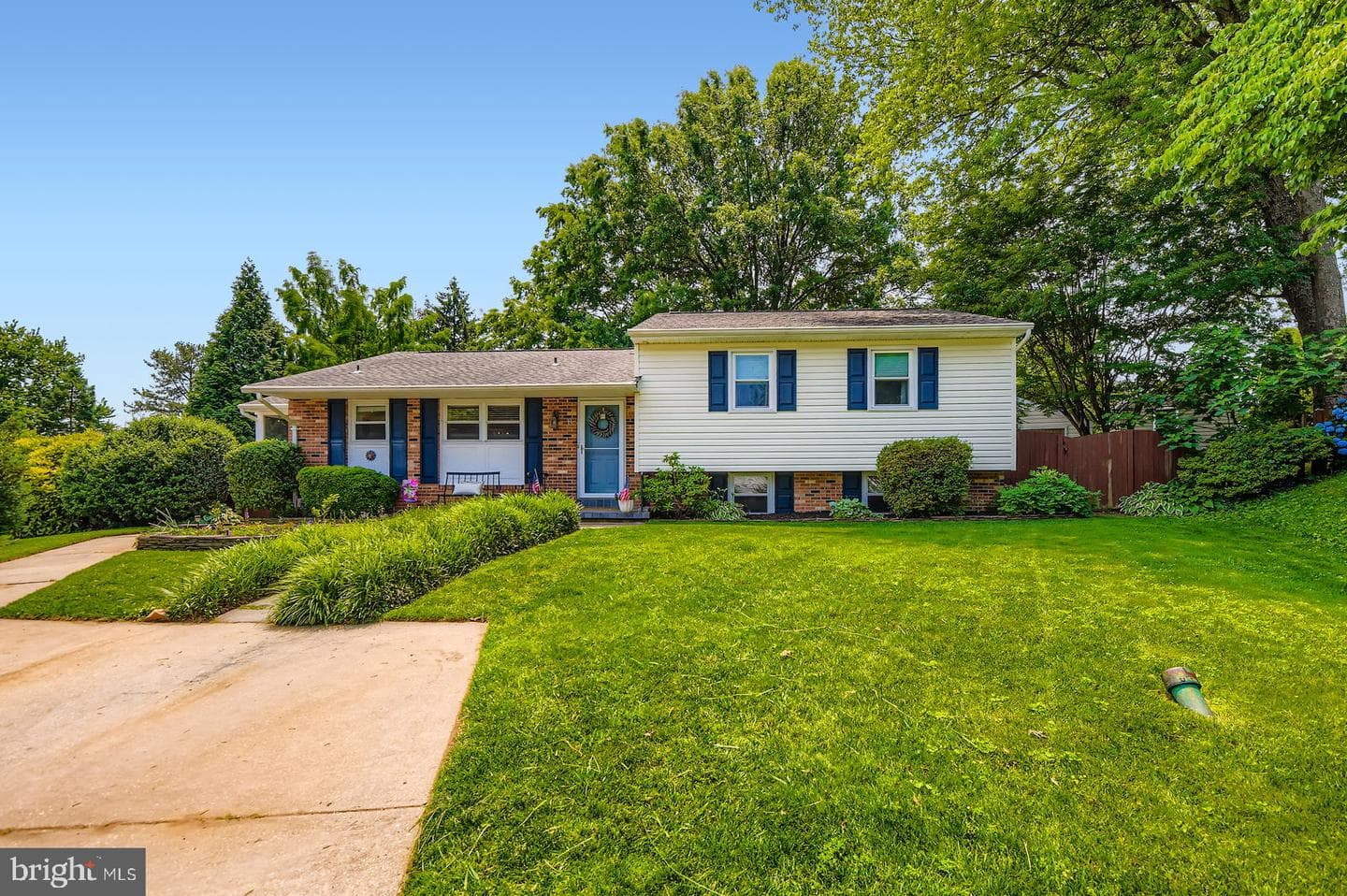 11 White Spruce