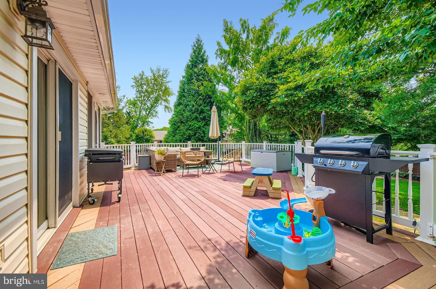 11 White Spruce photo 30